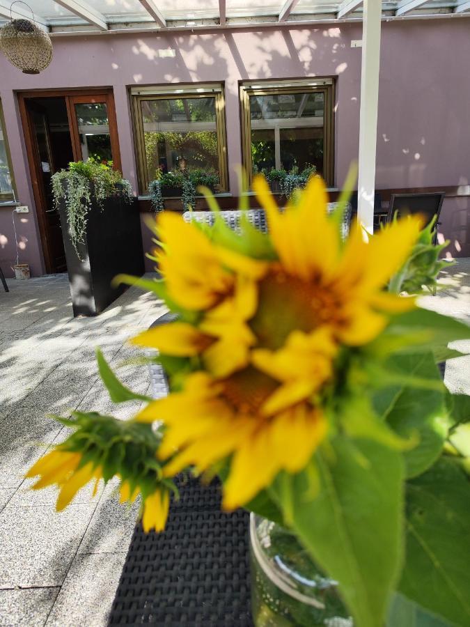Hotel Lowen Tengen Kültér fotó